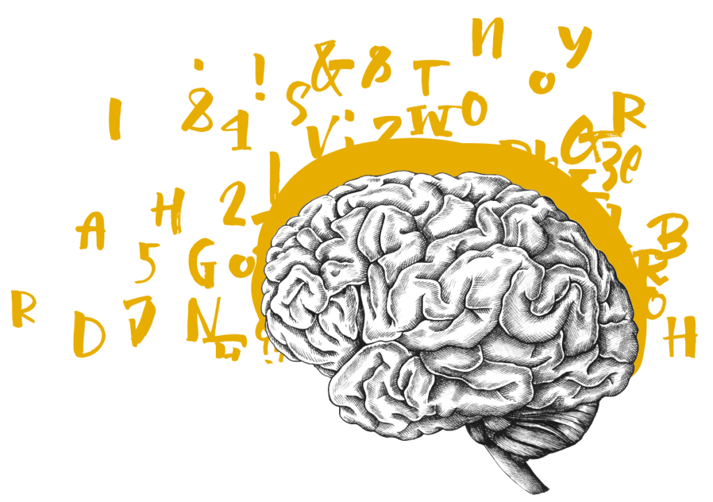 cérebro ilustrando o aplicativo memrise para estudo de inglês